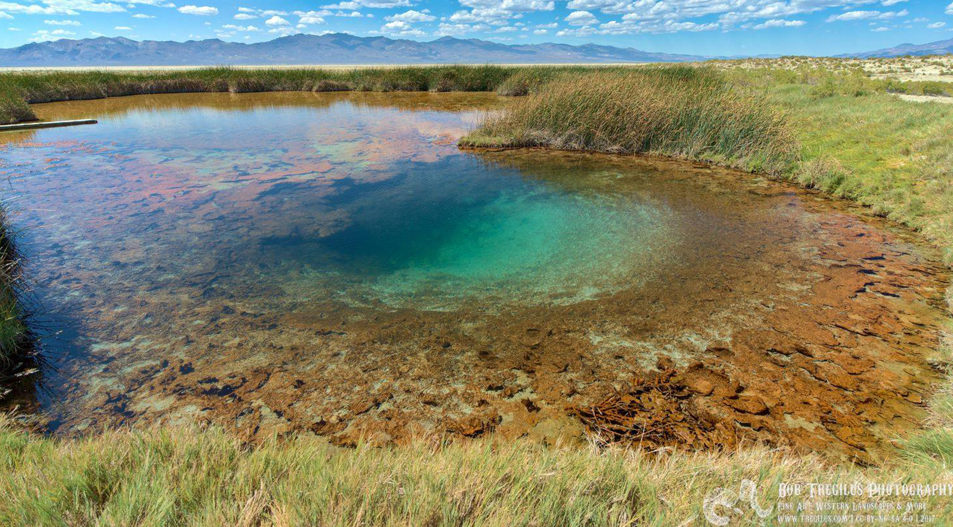 Black Rock Spring-Bob Tregulis photo