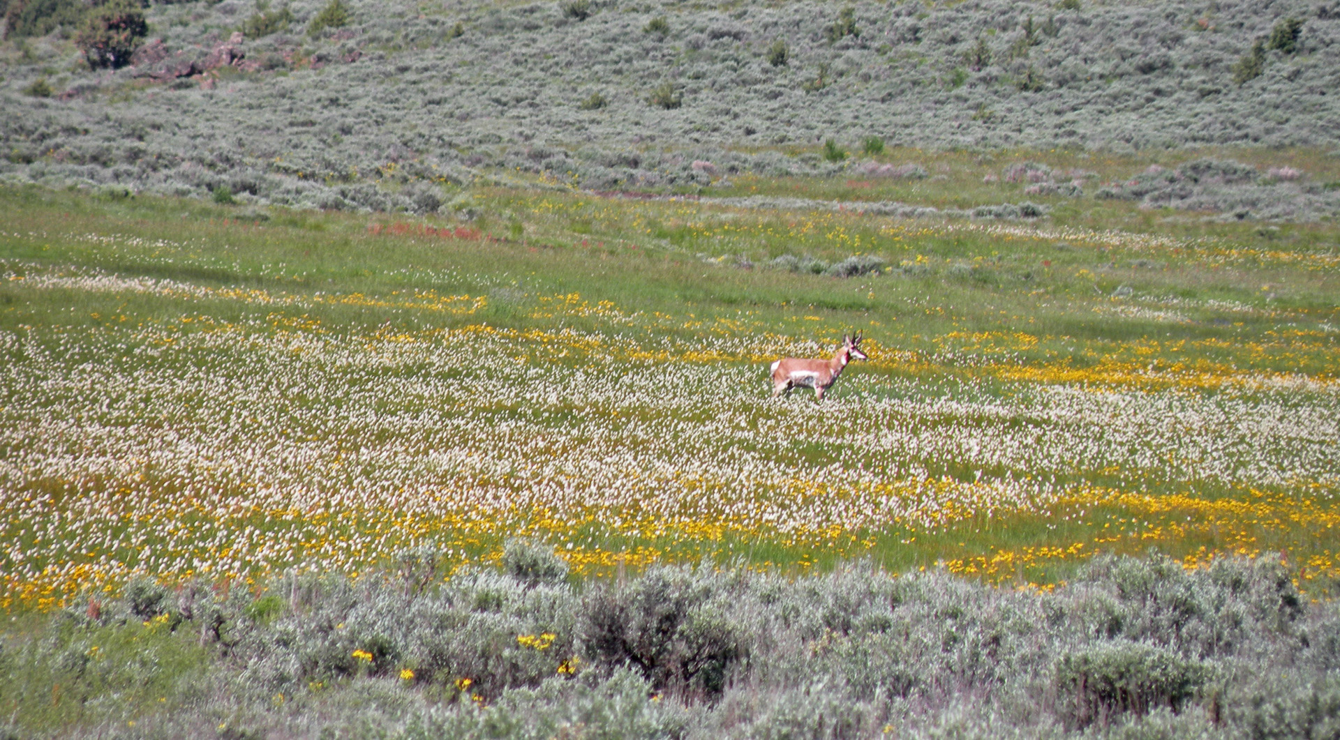 Sheldon National Wildlife Refuge