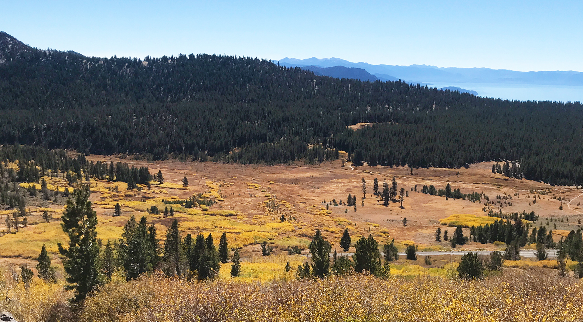 Tahoe Meadows