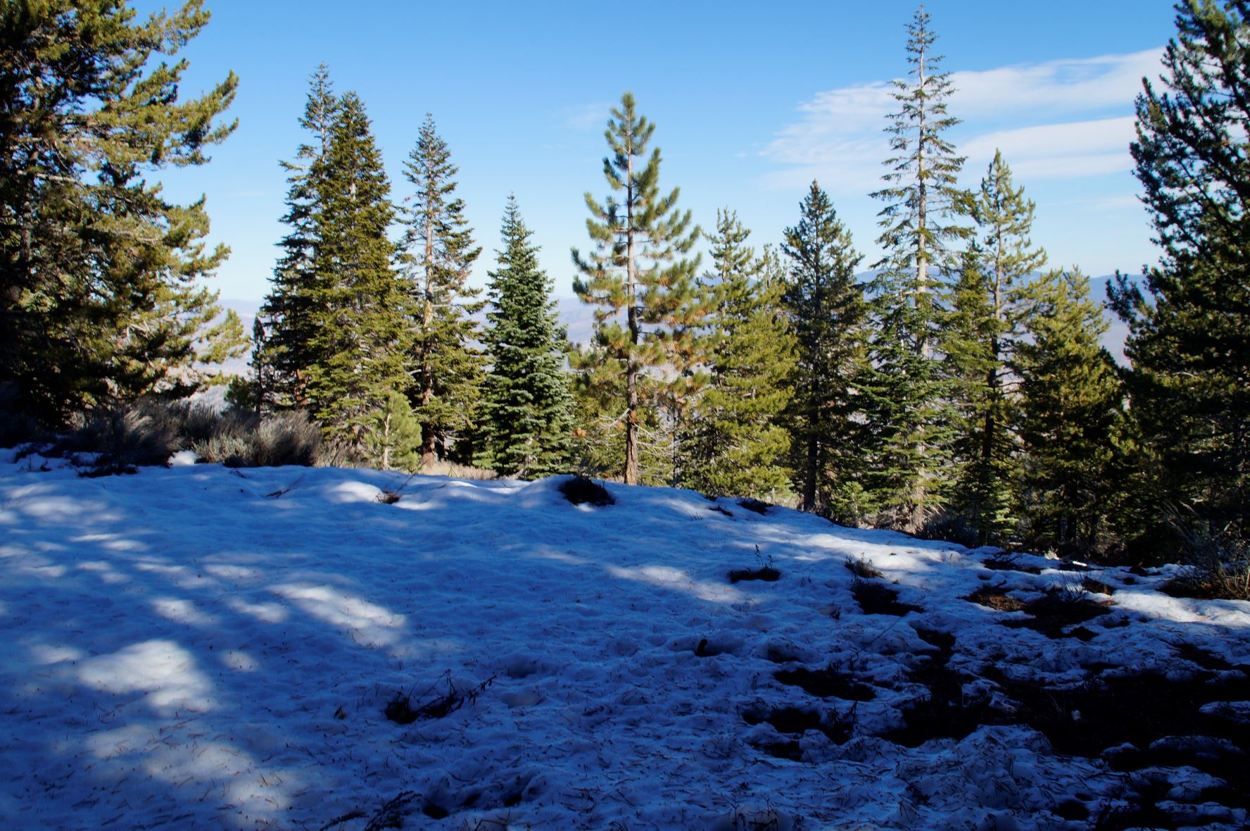 Genoa Peak