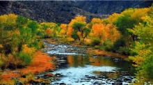 Carson River Canyon