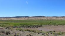 Big Springs Meadow